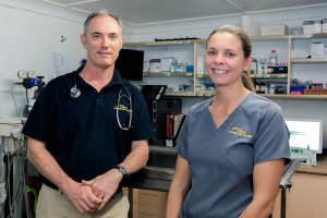 Cooroy Vets Consultations